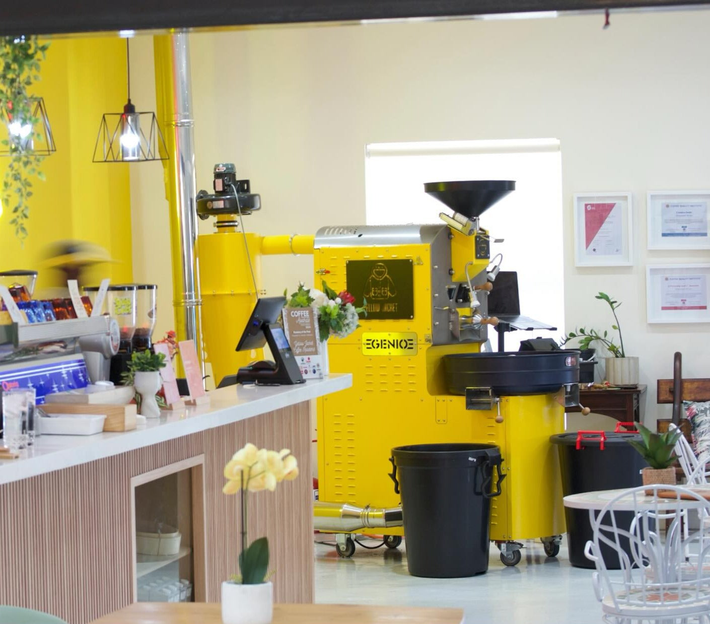 CIRCUS BEAR SPECIALITY COFFEE